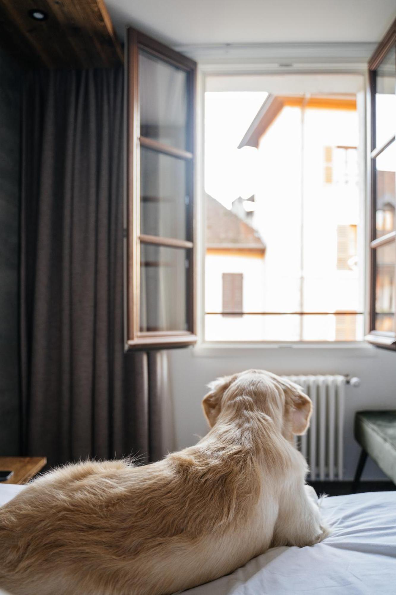 Auberge Du Lyonnais Annecy Zewnętrze zdjęcie